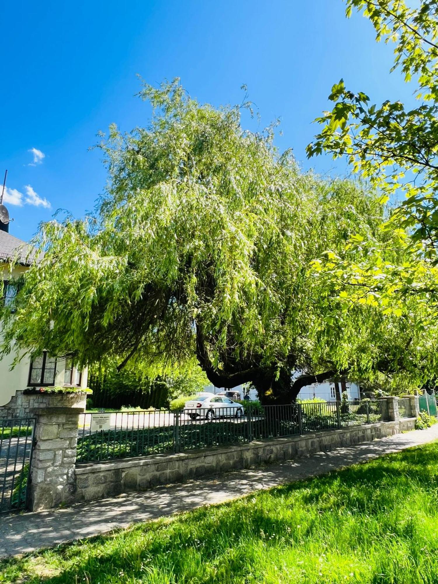 Penzion Villa Ancora Šumperk Exteriér fotografie